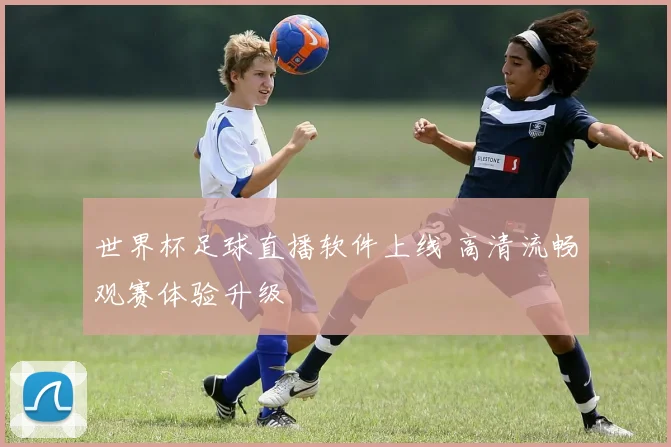 世界杯足球直播软件上线 高清流畅观赛体验升级