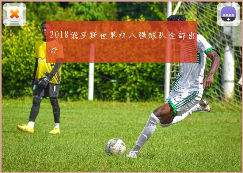 2018俄罗斯世界杯八强球队全部出炉