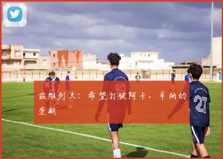 兹维列夫：希望打破阿卡、辛纳的垄断